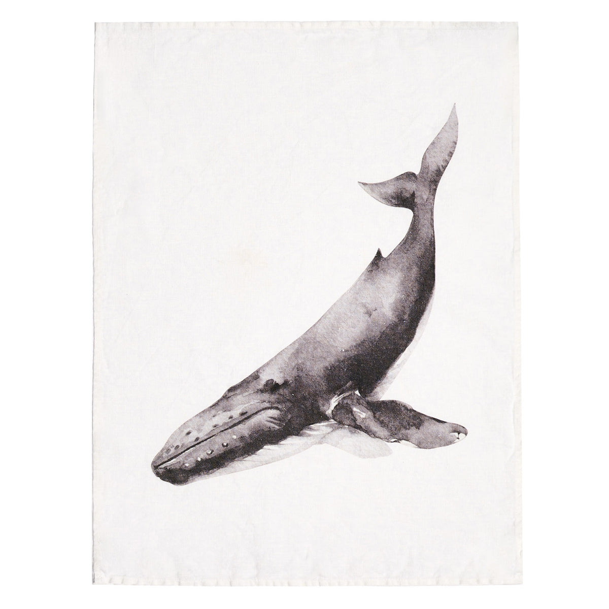 Dishcloth Whale — Simple Day
