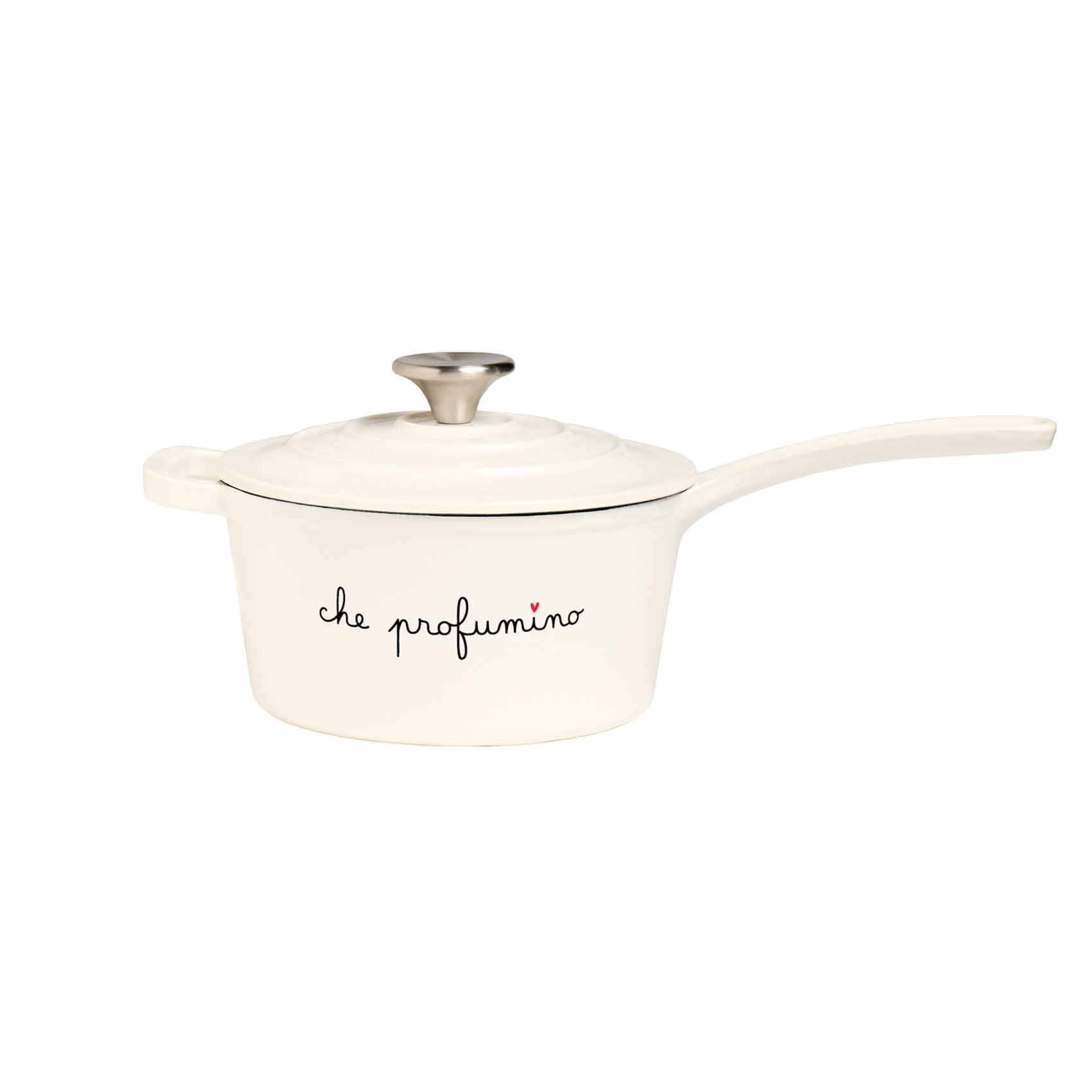 CASSEROLE AVEC POIGNÉE Ø19X9CM, QUELLE ODEUR APPETISSANTE !