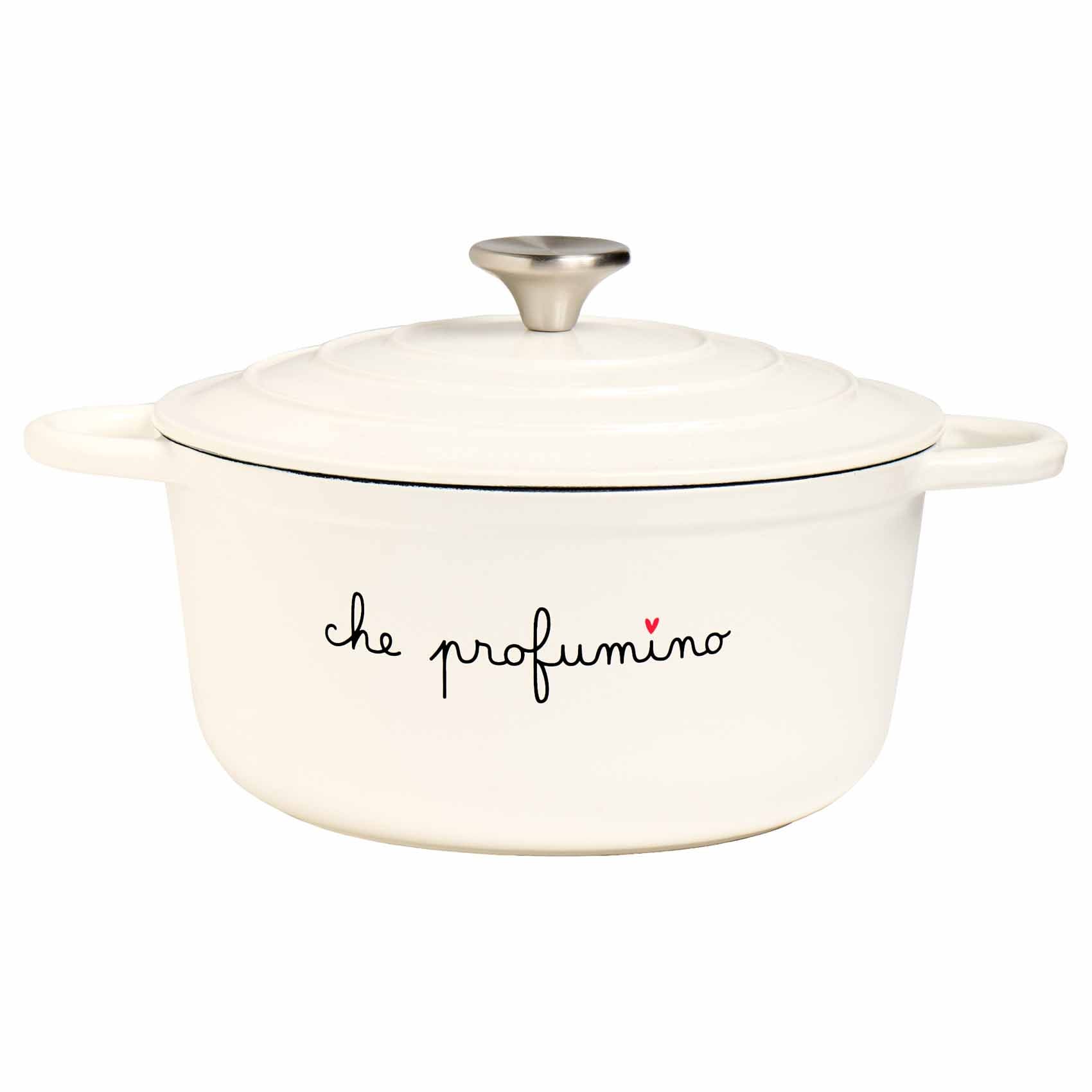 COCOTTE RONDE Ø 24 × 11 CM, QUELLE ODEUR APPETISSANTE !
