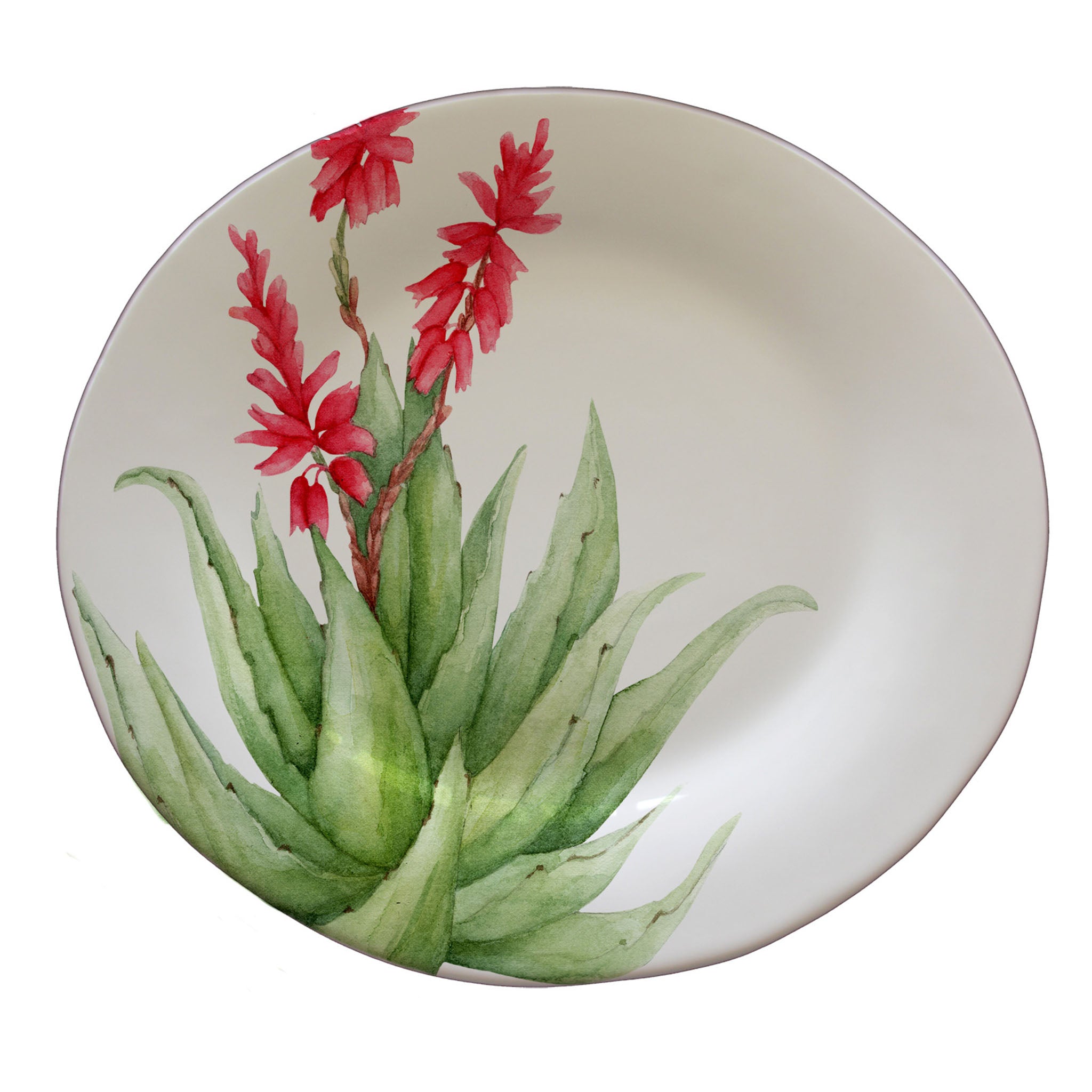 Runde Platten -Aloe -Durchmesser. 41 cm